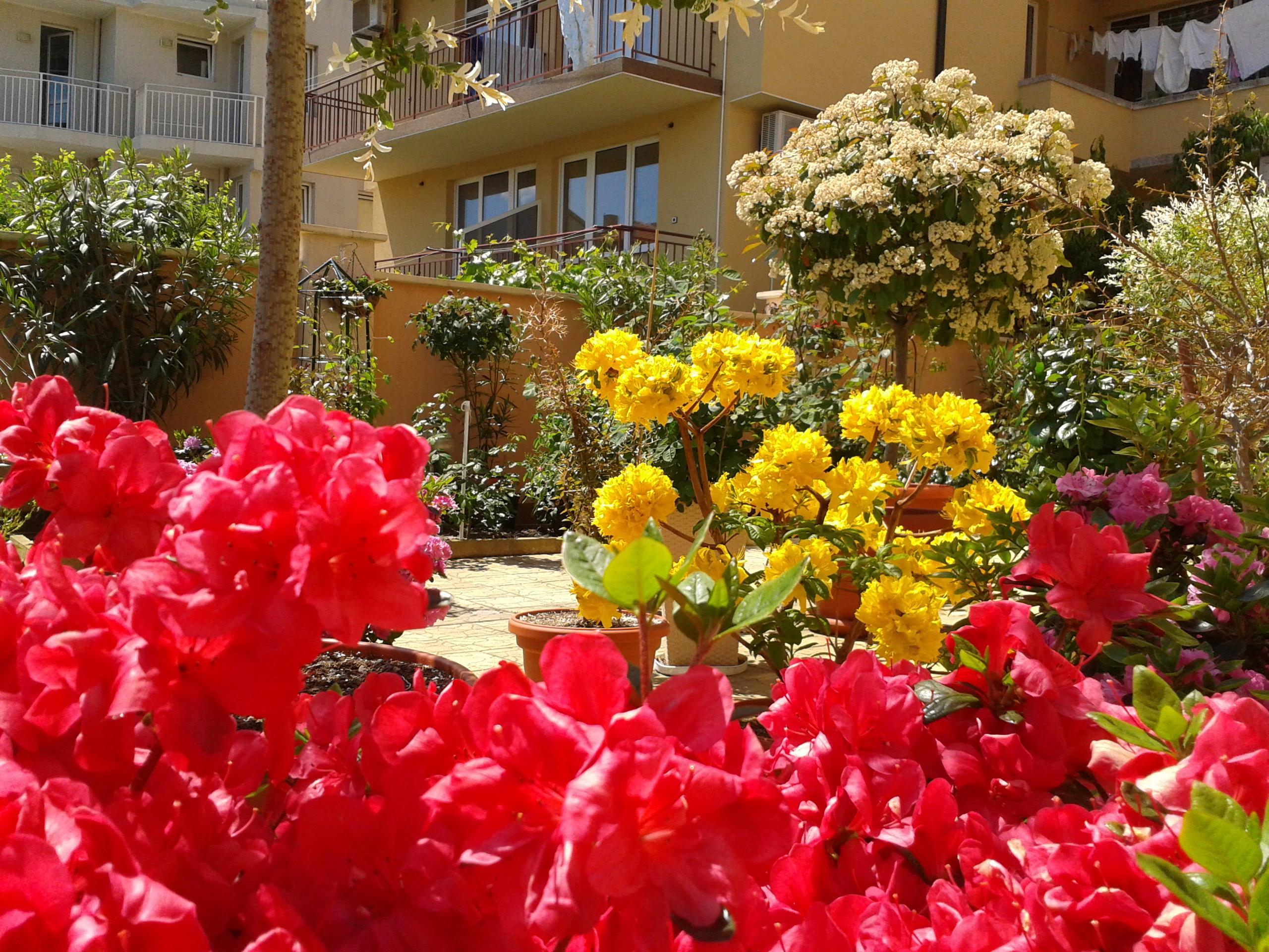 Hotel Chuchulev Sozopol Exterior photo
